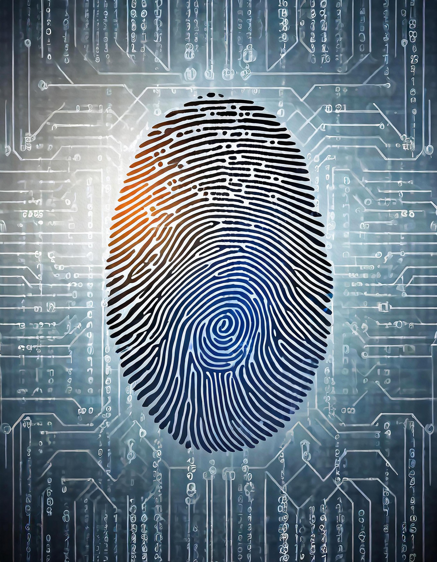 Identifiers & Registries